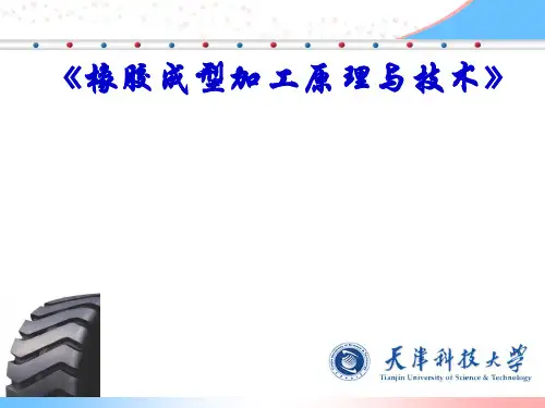 橡胶成型加工原理与技术