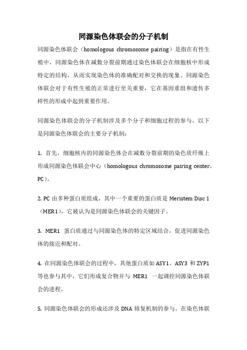同源染色体联会的分子机制