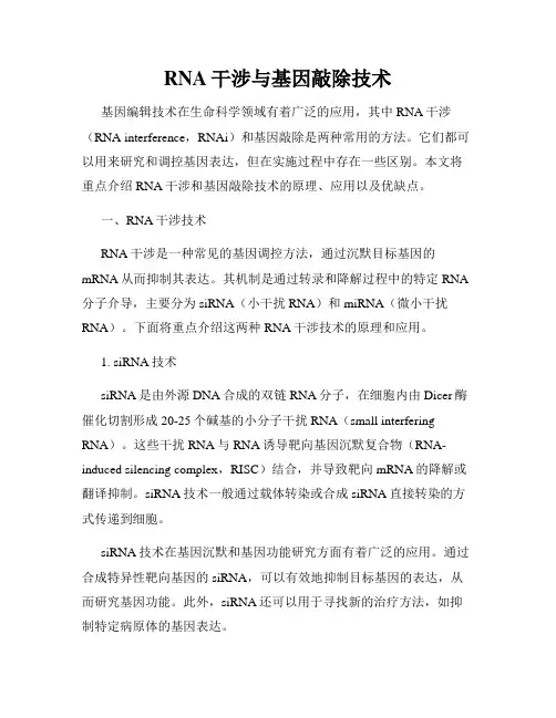 RNA干涉与基因敲除技术