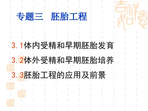 胚胎工程.ppt