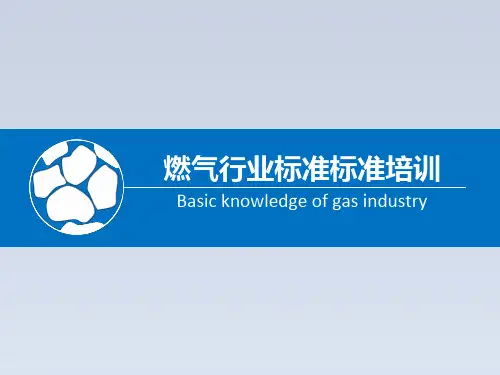2023-燃气行业标准规范培训课件