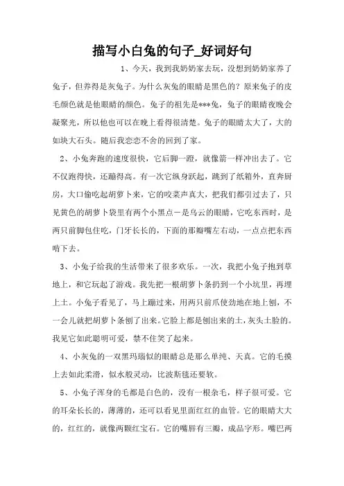 描写小白兔的句子_好词好句