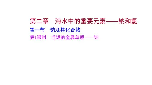第二章第一节第1课时活泼的金属单质——钠课件上学期高一化学人教版必修第一册