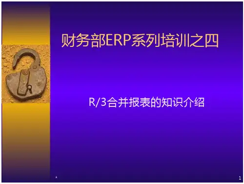 SAP__合并报表