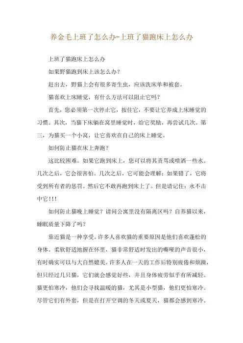养金毛上班了怎么办-上班了猫跑床上怎么办