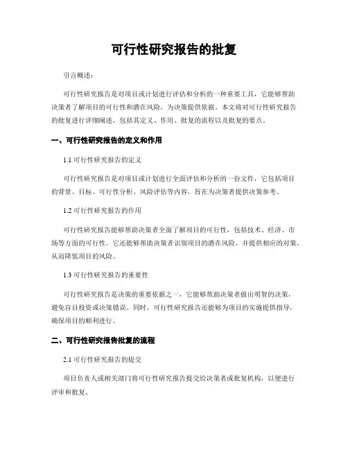 可行性研究报告的批复
