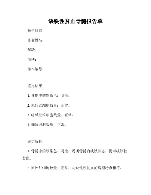 缺铁性贫血骨髓报告单