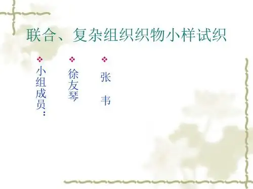 小样试织学生PPT汇报(第12组)