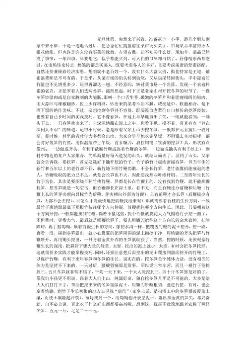 挖冬笋