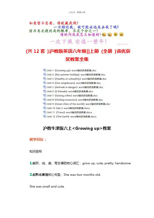 (共12套)沪教版英语六年级上册(全册)省优获奖教案全集(打包下载)