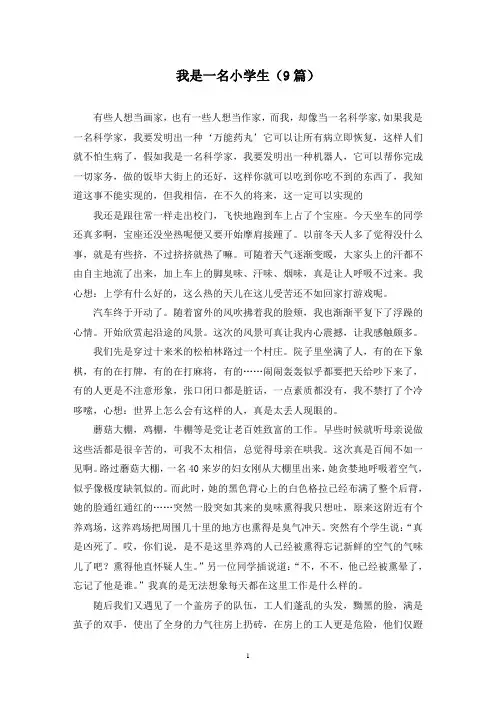 我是一名小学生(9篇)