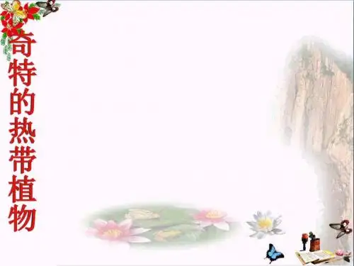 三年级美术上册第14课奇特的热带植物ppt课件2岭南版