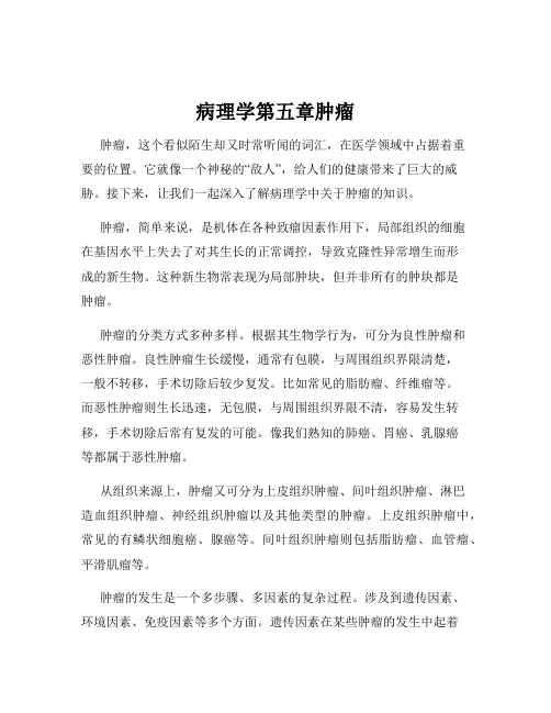 病理学第五章肿瘤