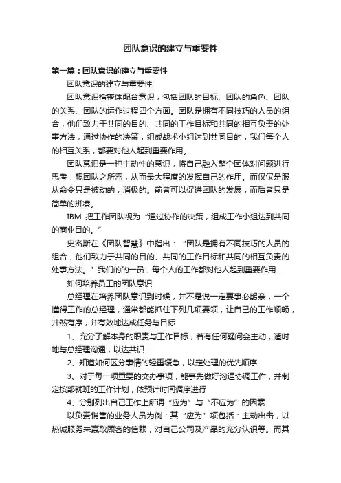 团队意识的建立与重要性