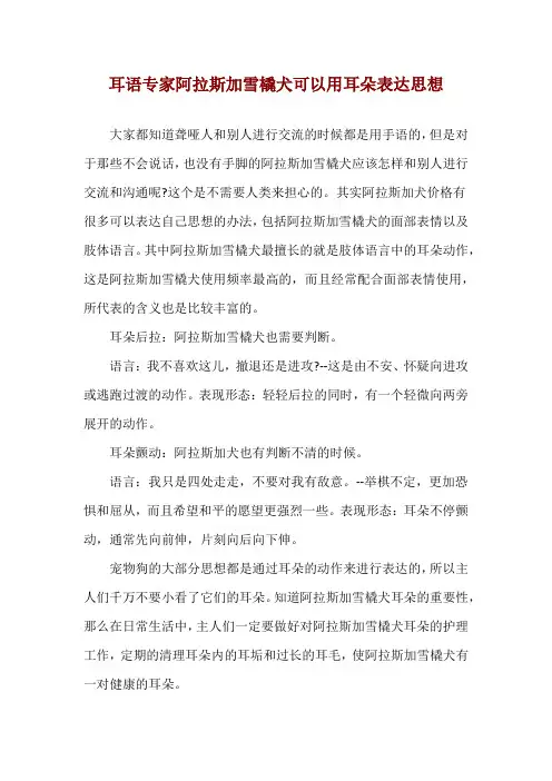 耳语专家 阿拉斯加雪橇犬可以用耳朵表达思想