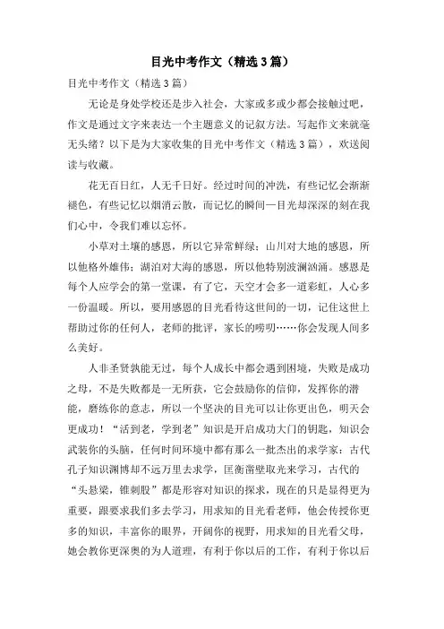 目光中考作文(3篇)