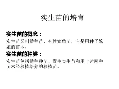 实生苗的培育