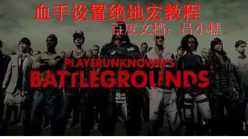 血手设置绝地宏教程【优质PPT】