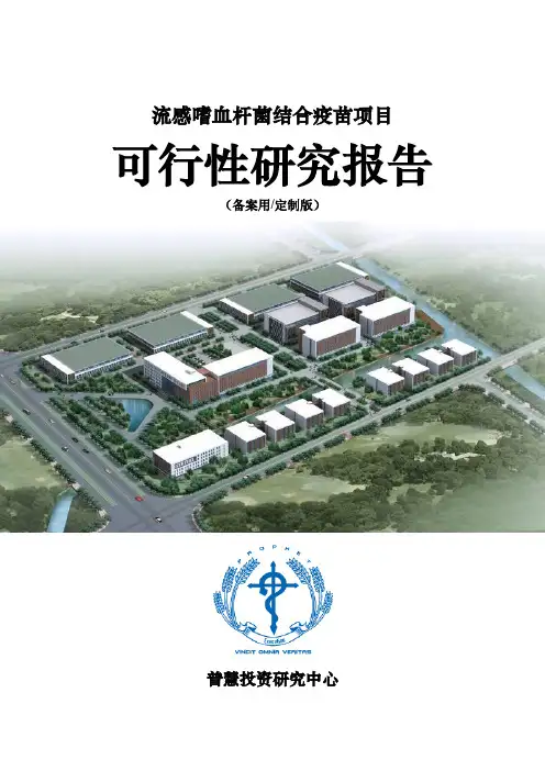 流感嗜血杆菌结合疫苗项目可行性研究报告备案用(定制版)