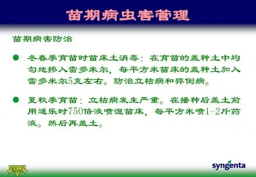 先正达产品组合方案--黄瓜病虫害方案