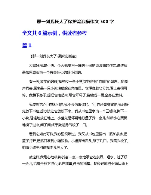 那一刻我长大了保护流浪猫作文500字