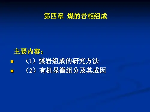 chap3煤的组成岩石组成