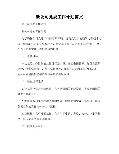 新公司党委工作计划范文