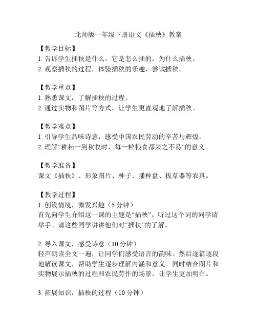 北师版一年级下册语文《插秧》教案