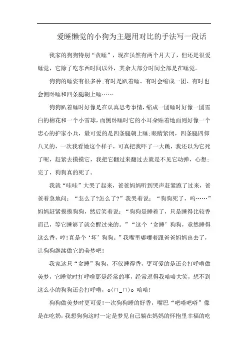 爱睡懒觉的小狗为主题用对比的手法写一段话