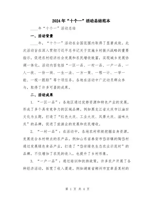 2024年“十个一”活动总结范本