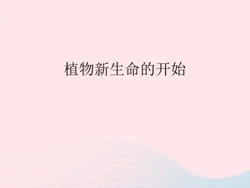 三年级科学下册 植物的生长变化 1 植物新生命的开始课
