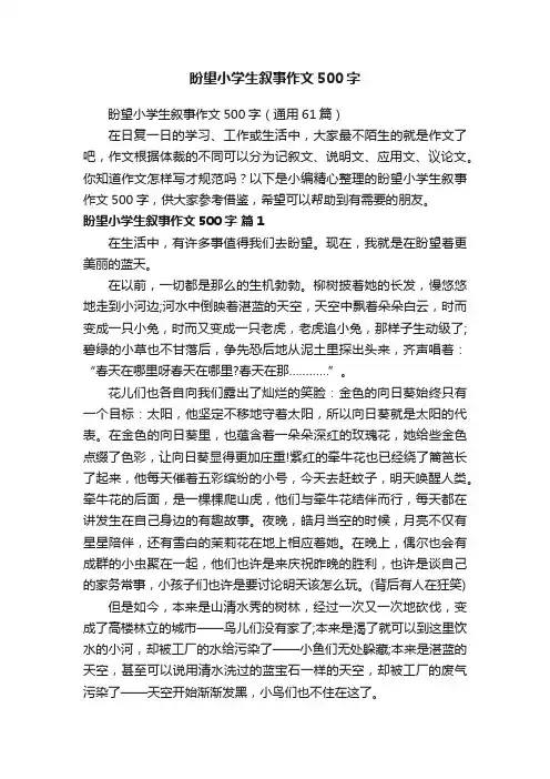盼望小学生叙事作文500字