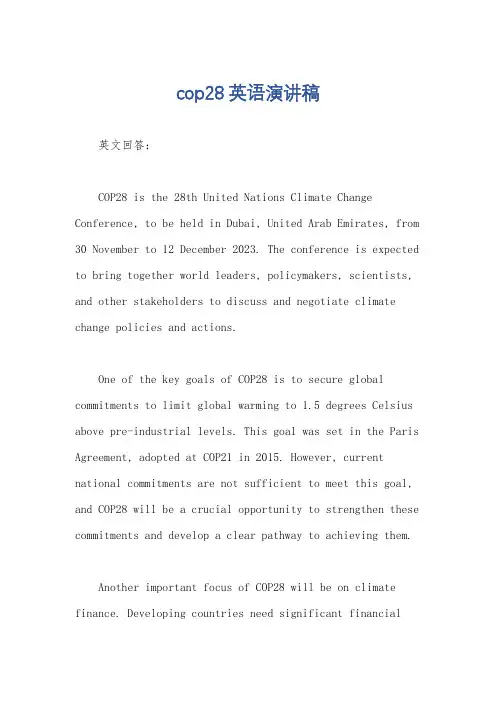cop28英语演讲稿