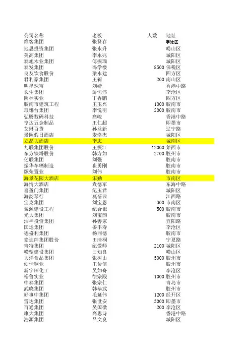 山东总表企业的