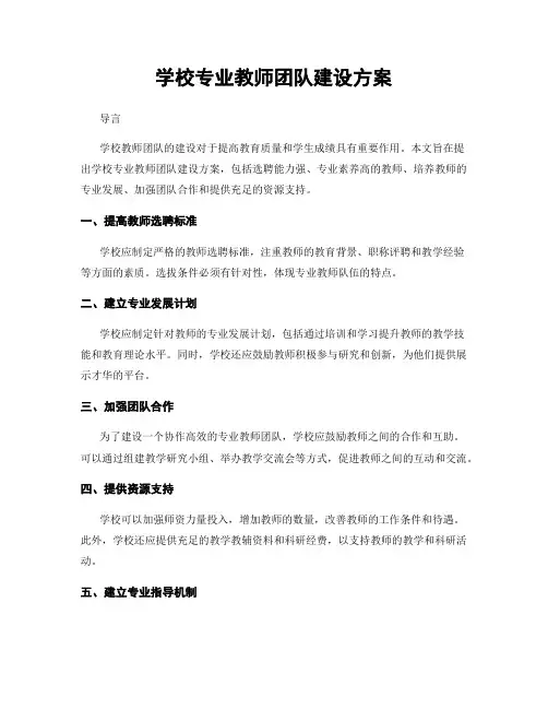 学校专业教师团队建设方案