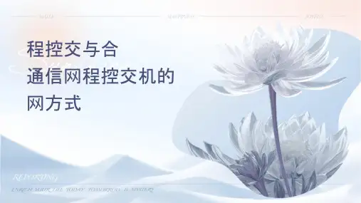 程控交换与综合业务通信网程控交换机的组网方式课件