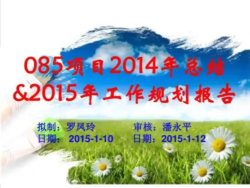 085项目2014年总结和2015年规划报告