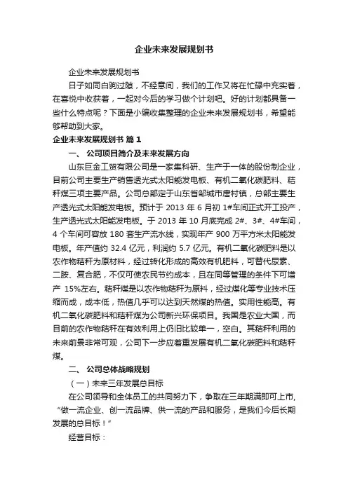 企业未来发展规划书