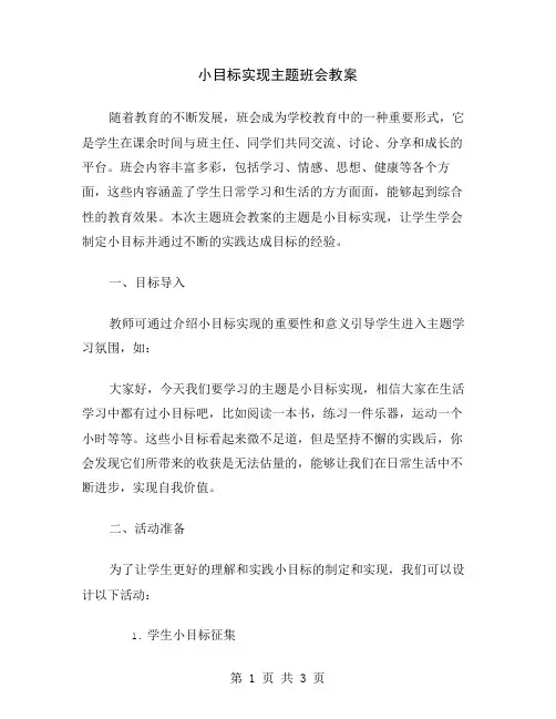小目标实现主题班会教案