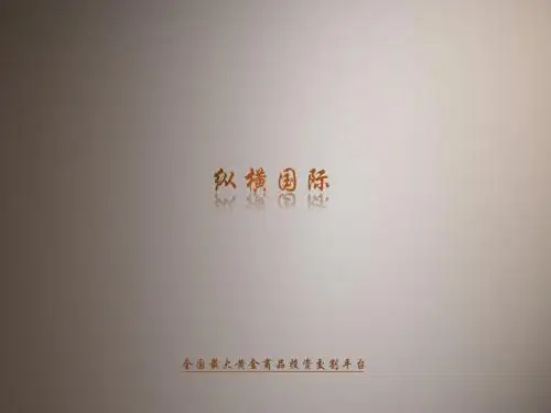 纵横国际介绍