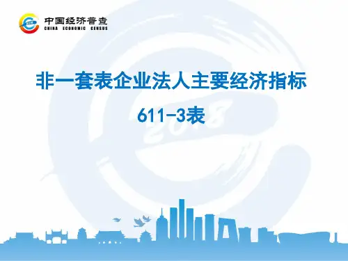 非一套表企业法人主要经济指标6113表