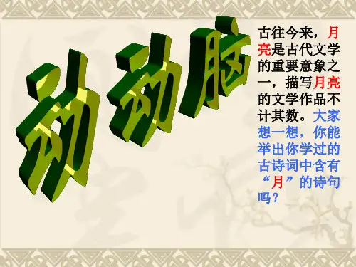 记承天寺夜游复习ppt课件
