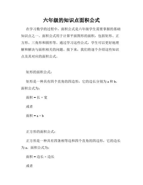 六年级的知识点面积公式