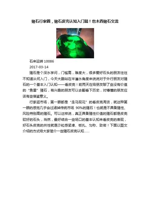 赌石行家圈，赌石皮壳认知入门篇！也木西赌石交流