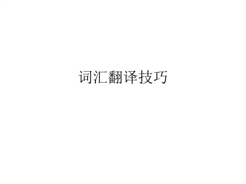 词汇翻译技巧