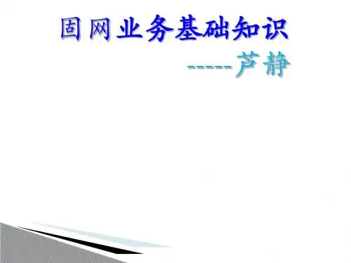 固网业务基础知识——芦静页PPT文档