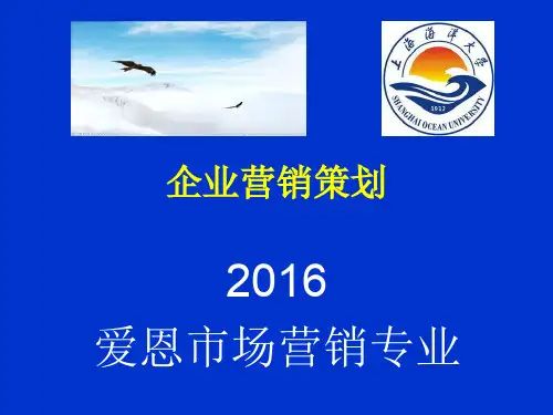 企业营销策划方案(PPT 73页)