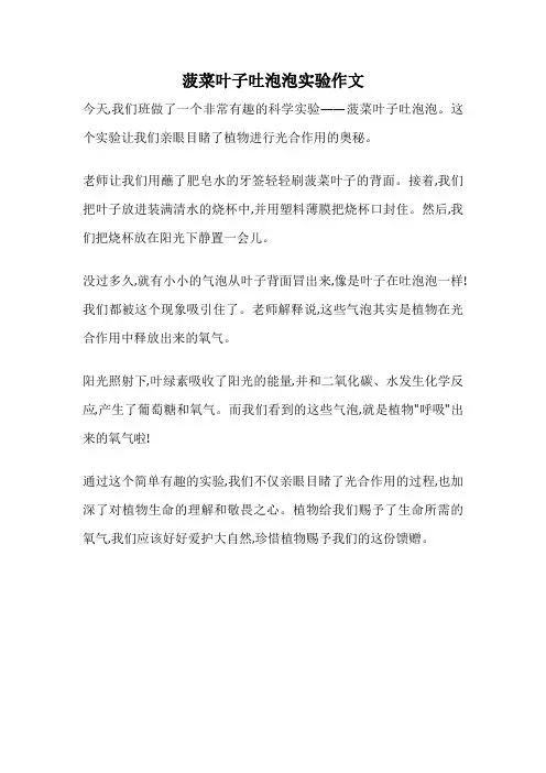 菠菜叶子吐泡泡实验作文