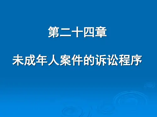 第24章 未成年人案件的诉讼程序