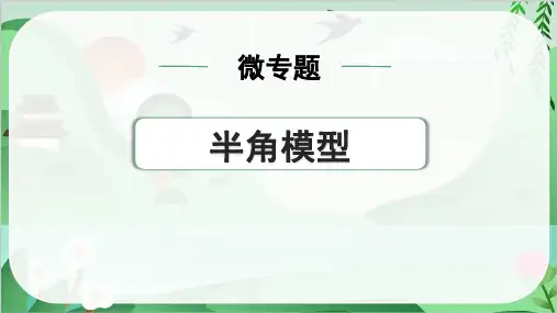 2024年中考数学总复习第一部分考点精练第四单元三角形微专题半角模型